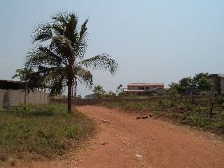 New House